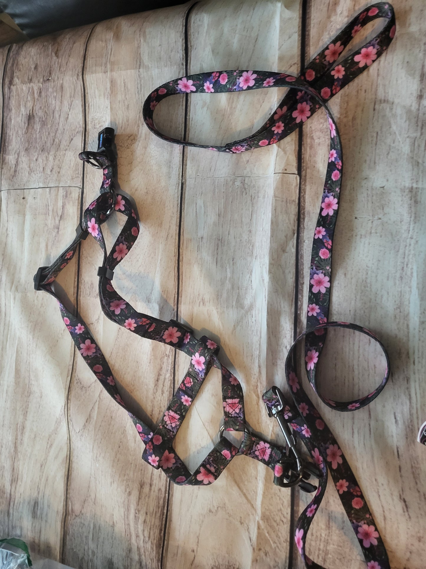 Qqpets leash and collar set